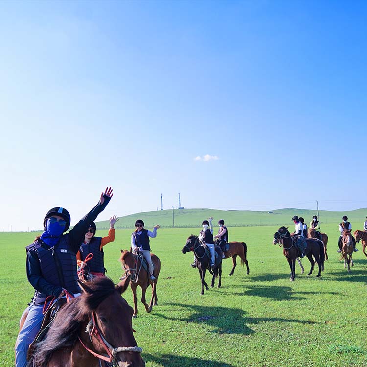 Horse ryf oefening Kas